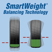 smartweight logo