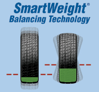 SmartWeight Kurun Ekonomisi Program